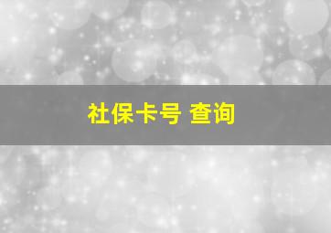 社保卡号 查询